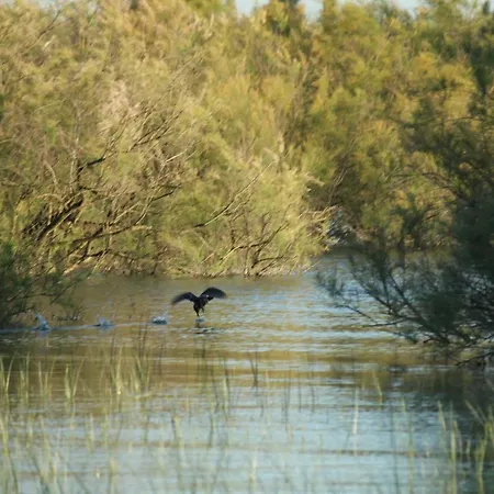 Vakantiehuis Casa Mirlo