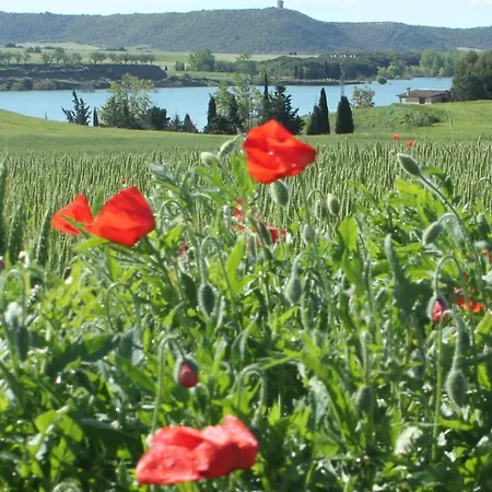 Vakantiehuis Casa Mirlo Montmesa