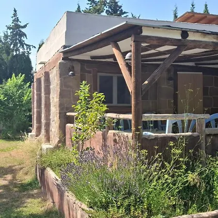 Casa Mirlo Montmesa