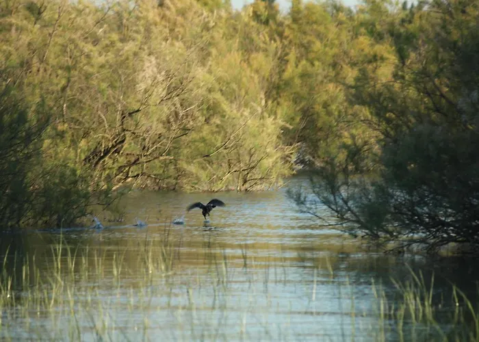 Casa vacanze Casa Mirlo