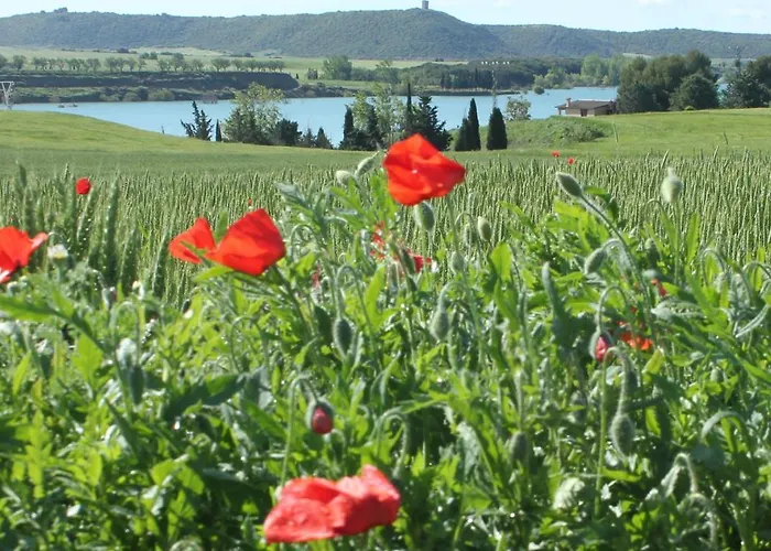 Semesterbostad Casa Mirlo Montmesa