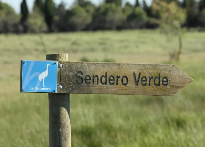 Casa Mirlo Semesterbostad Montmesa